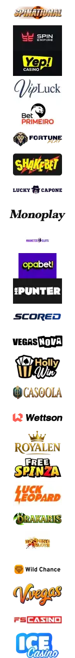 Spinational Logo