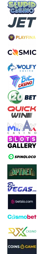 Stupid Casino Logo