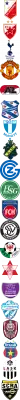 FK Vojvodina Novi Sad Logo