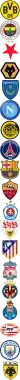 BVB Logo