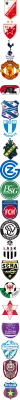 FK Vojvodina Novi Sad Logo