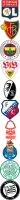 Olympique Lyon Logo