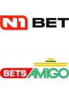 N1Bet Logo