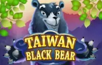 Taiwan Black Bear Logo