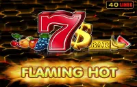 Flaming Hot Logo