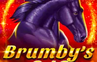 Brumby's 243 Logo