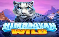 Himalayan Wild Logo