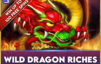 Wild Dragon Riches Logo