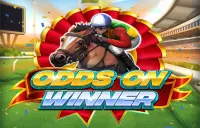 Odds On Winner Logo