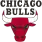 Chicago Bulls Logo