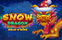 Snow Dragon Logo
