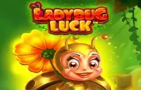 Ladybug Luck Logo