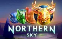 Northern Sky Logo