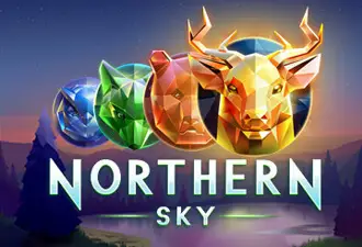 Northern Sky Logo