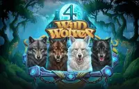 4 Wild Wolves Logo