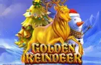 Golden Reindeer Logo