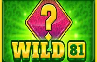 Wild 81 Logo
