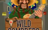 Wild Sombrero Logo