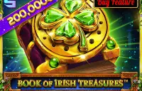 Book Of Irish Treasures Logo