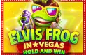 Elvis Frog In Vegas Logo