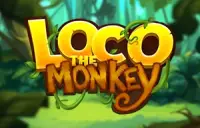 Loco The Monkey Logo