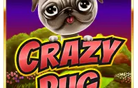 Crazy Pug Logo