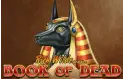 Book of Dead Logo