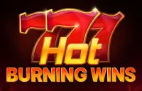 Hot Burning Wins Logo