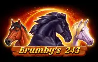 Brumby's 243 Logo
