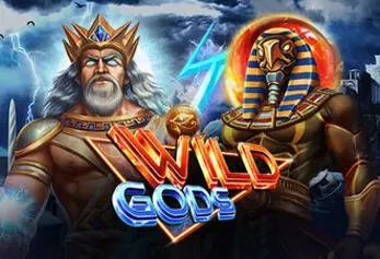 Wild Gods Logo