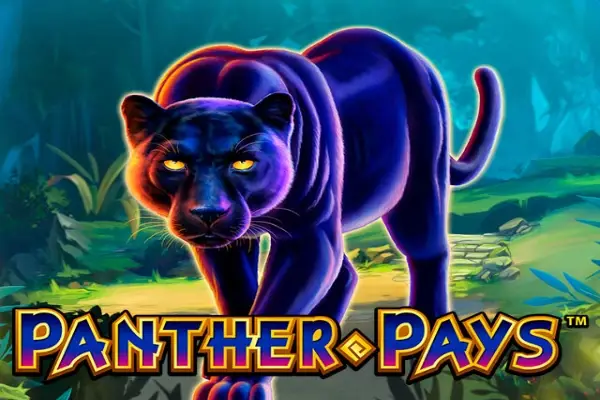 Panther Pays Logo