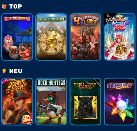 Spinfin Casino Test