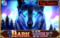 Dark Wolf Logo