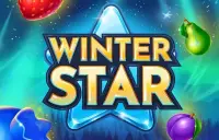 Winter Star Logo