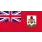 Bermuda Logo