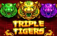 Triple Tigers Logo