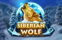 Siberian Wolf Logo