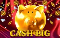 Cash Pig Logo