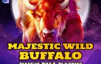 Majestic Wild Buffalo - Dusk Till Dawn Logo
