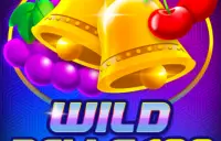 Wild Bells 100 Logo
