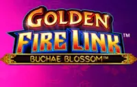 Golden Fire Link Buchae Blossom Logo