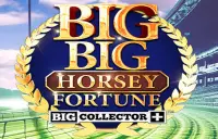 Big Big Horsey Fortune Logo