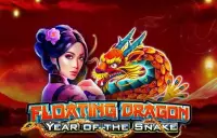 Floating Dragon - Year of the Snake Logo