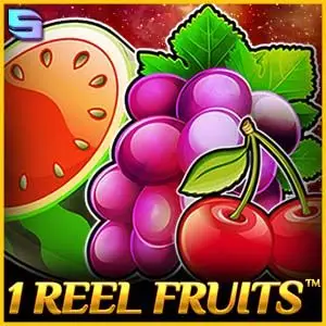 1 Reel Fruits Logo