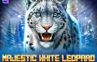 Majestic White Leopard Logo