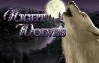 Night Wolves Logo