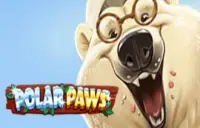 Polar Paws Logo