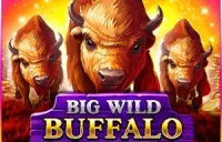 Big Wild Buffalo Logo