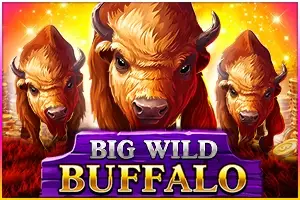 Big Wild Buffalo Logo