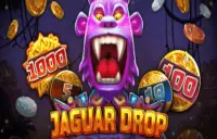 Jaguar Drop Logo
